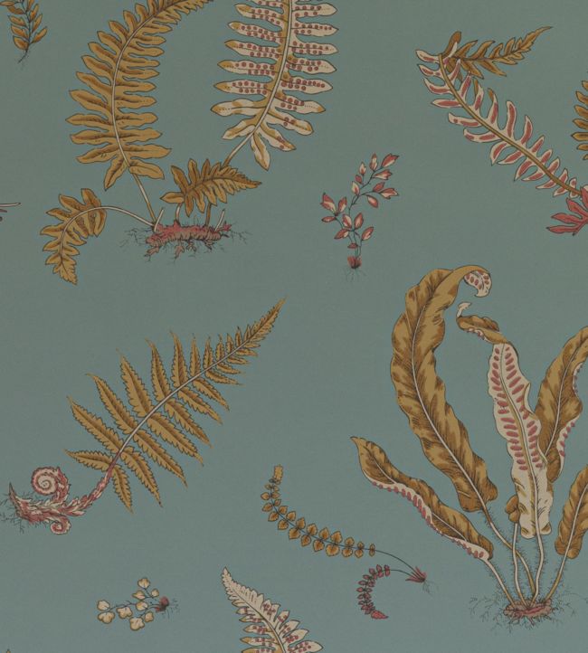 Ferns Wallpaper - Teal