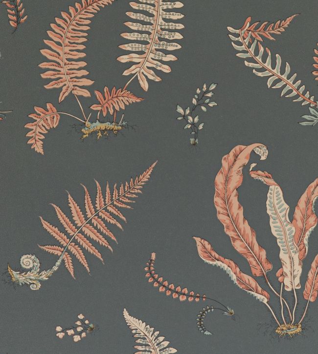 Ferns Wallpaper - Gray