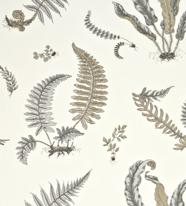 Ferns Wallpaper - White
