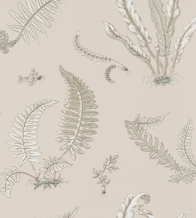 Ferns Wallpaper - Pink
