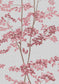 Beech Wallpaper - Pink