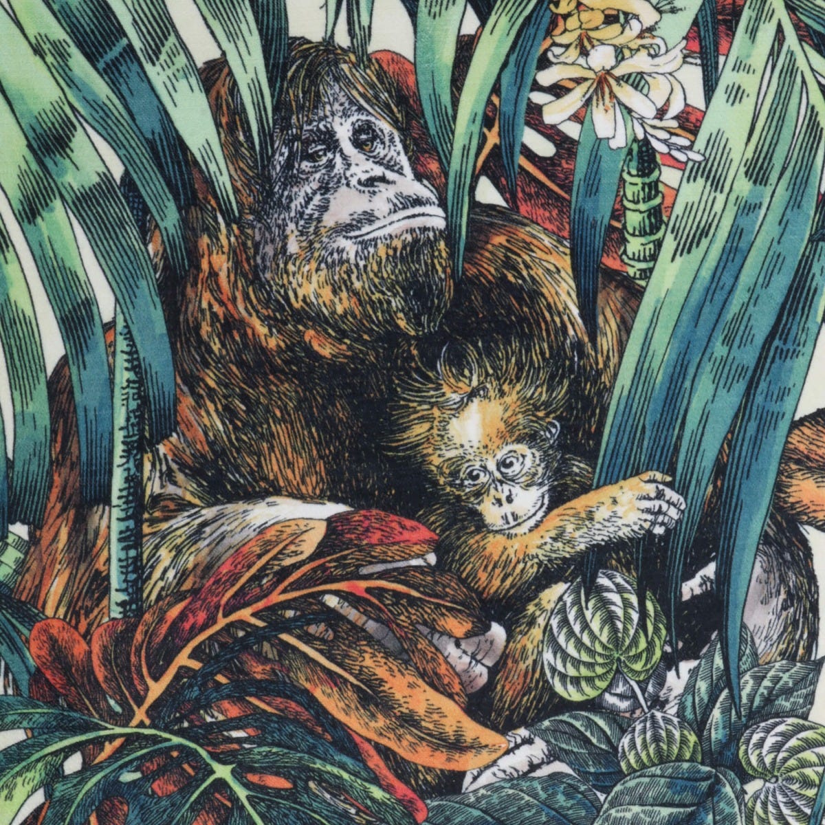 Orangutan Forest Green Velvet Cushion