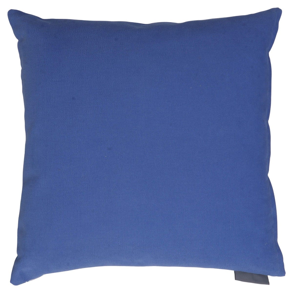 Sea Turtles Blue Back Cushion