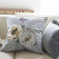 Pahari Room Velvet Cushion 2 - Gray
