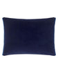 Odisha Room Velvet Cushion 2 - Blue