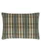 Shastri Room Velvet Cushion - Green