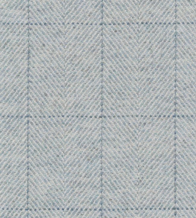 Craigie Vale Fabric - Blue 