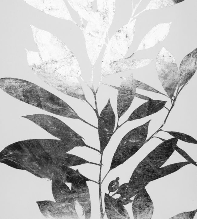 Rye Wallpaper - Gray