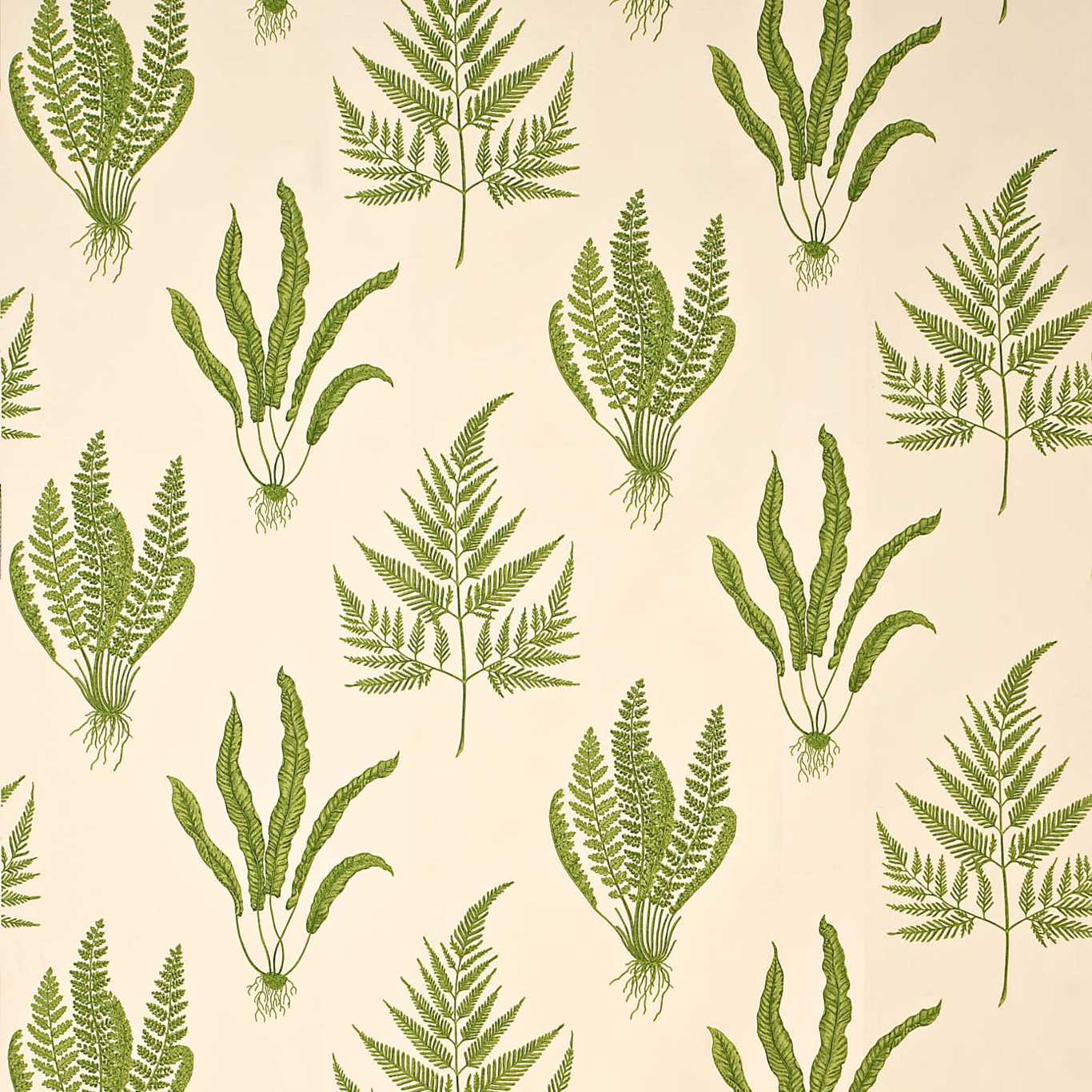 Woodland Ferns Fabric - Green
