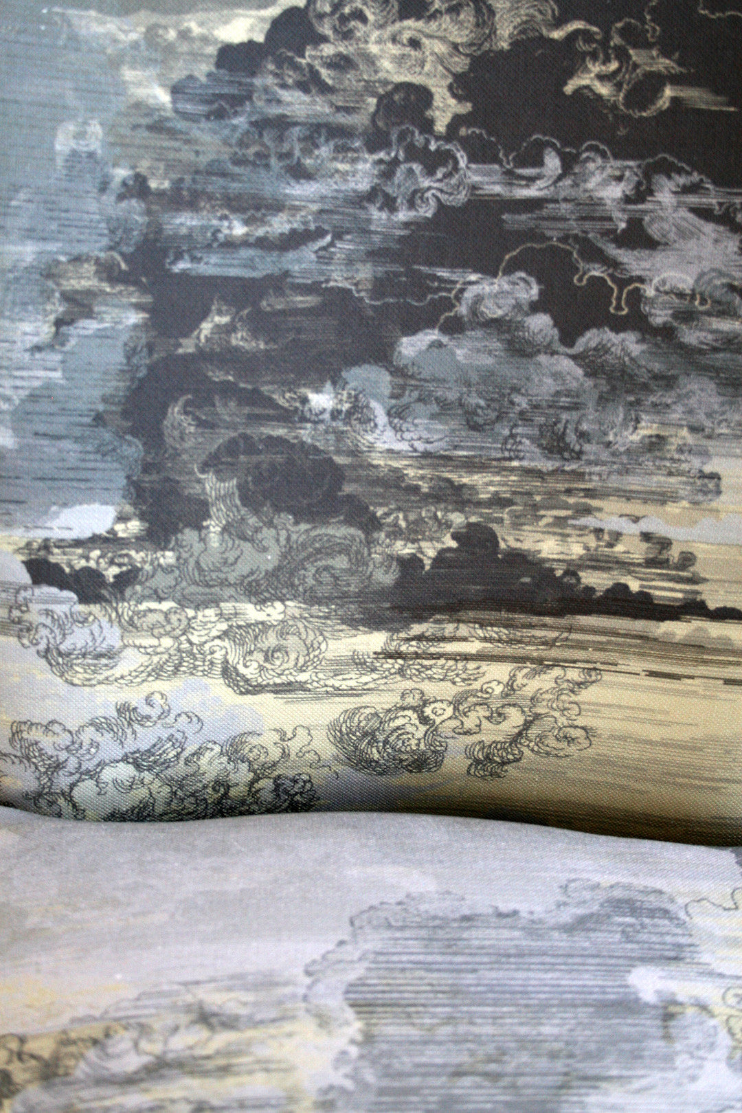 Cloud Toile Room Fabric - Blue