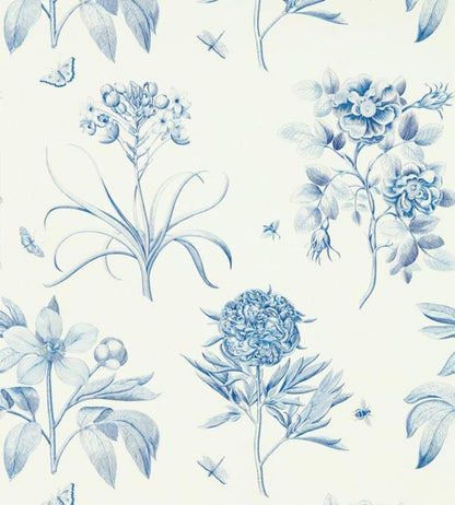 Etchings & Roses Wallpaper - Blue