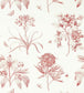 Etchings & Roses Wallpaper - Pink