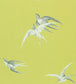 Swallows Wallpaper - Yellow 