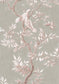 Doves Wallpaper - Pink 