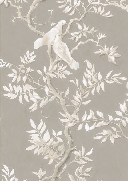 Doves Wallpaper - Gray