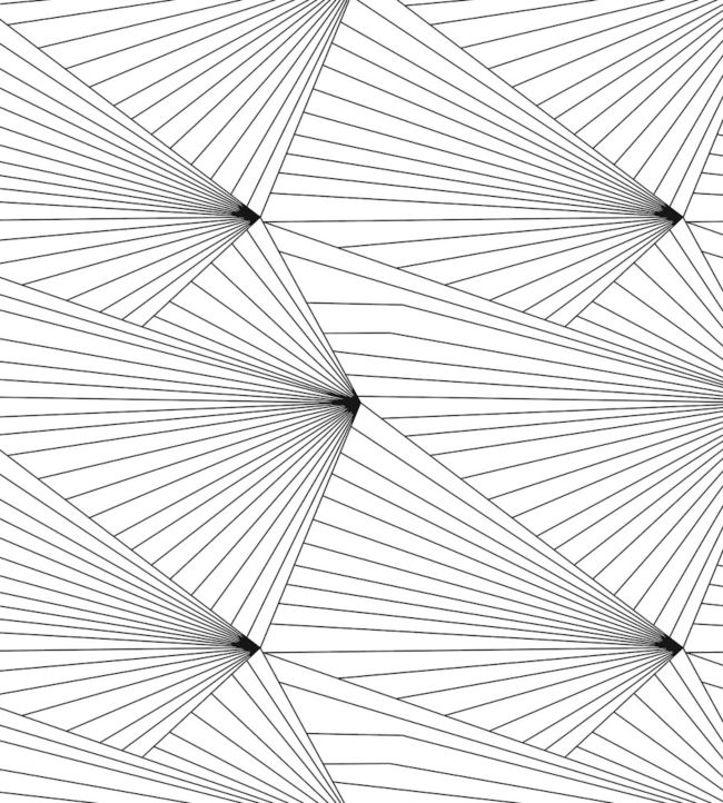 Fan Wallpaper - Gray