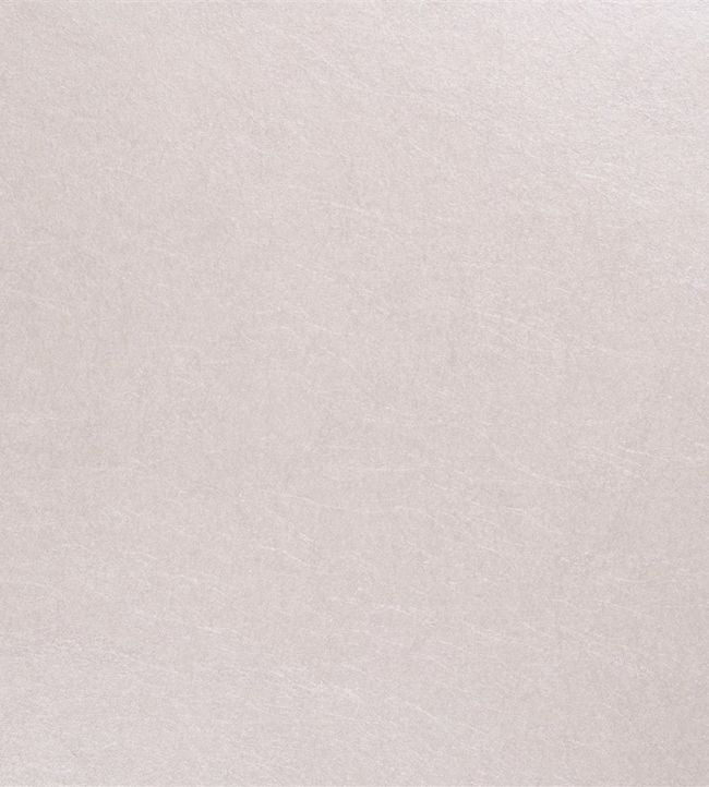 Ernani Wallpaper - Shell - P502/11 - Designers Guild