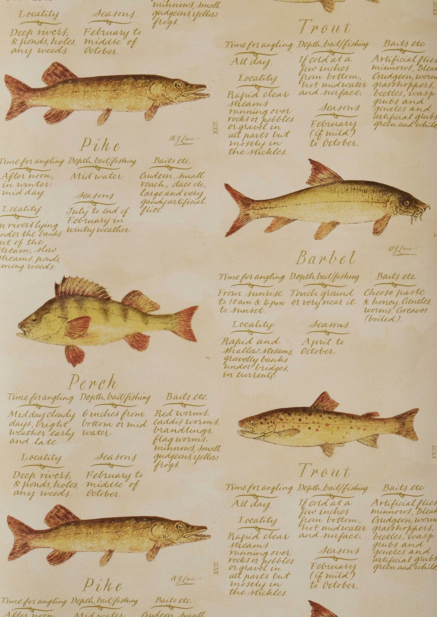 European Fish Wallpaper - Sand - Lewis & Wood