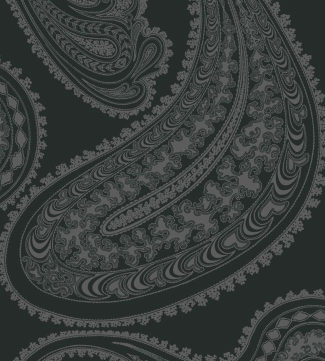 Rajapur Velvet Fabric - Black - Cole & Son