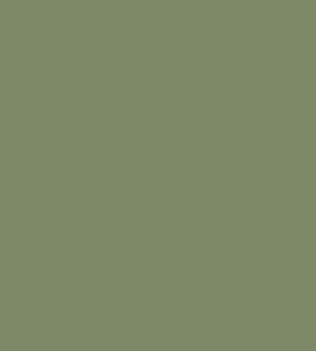 Colour Box Velvet Fabric - Green  - Cole & Son