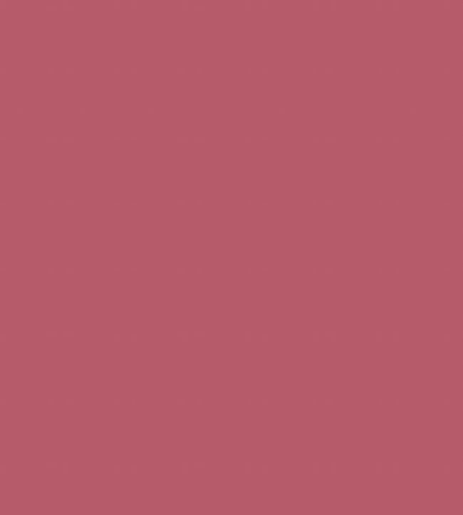 Colour Box Velvet Fabric - Red - Cole & Son