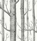 Woods Fabric - Gray - Cole & Son