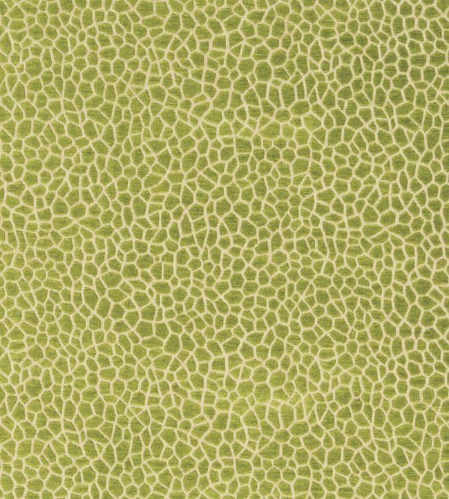 Kairi Fabric - Green 