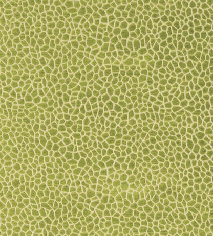 Kairi Fabric - Green 