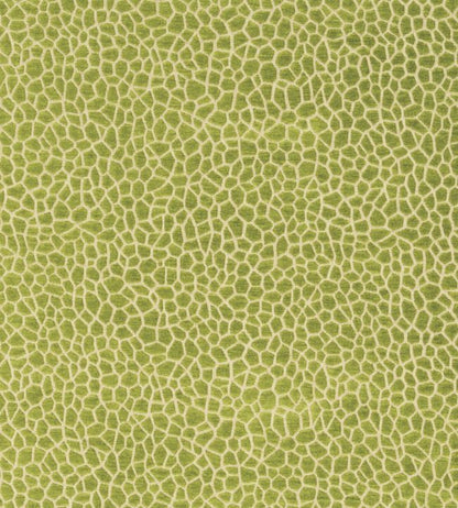 Kairi Fabric - Green 