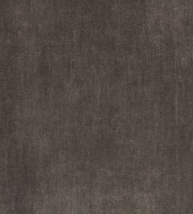 Salsa Fabric - Gray 