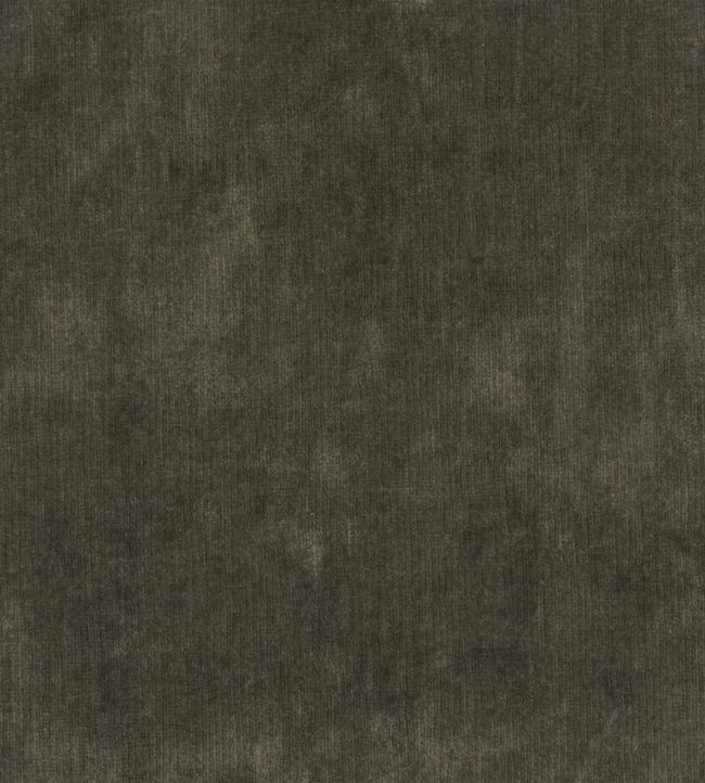 Salsa Fabric - Brown 