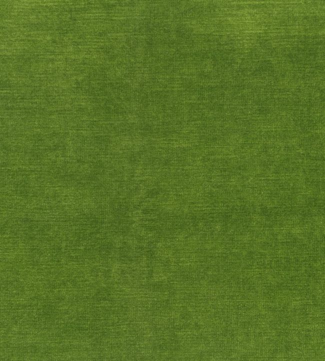 Salsa Fabric - Green 