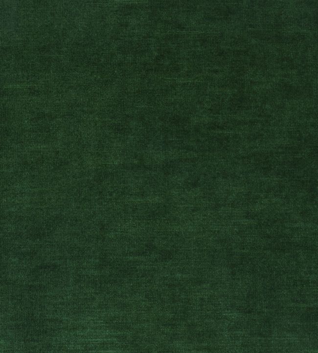 Salsa Fabric - Green 