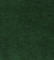 Salsa Fabric - Green 