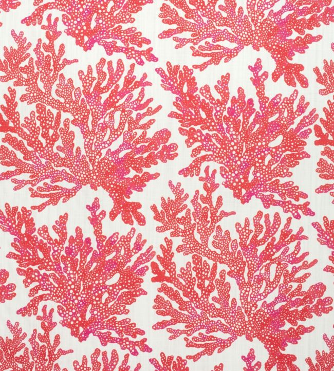 Marine Coral Fabric - Red 