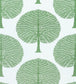 Mulberry Tree Fabric - Green 