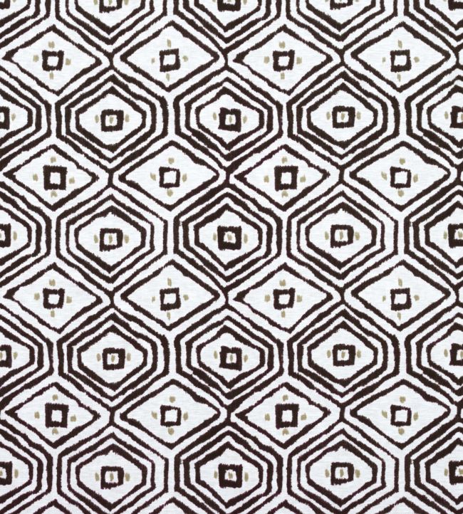 Pass A Grille Fabric - Black 