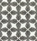 Starleaf Fabric - Black 