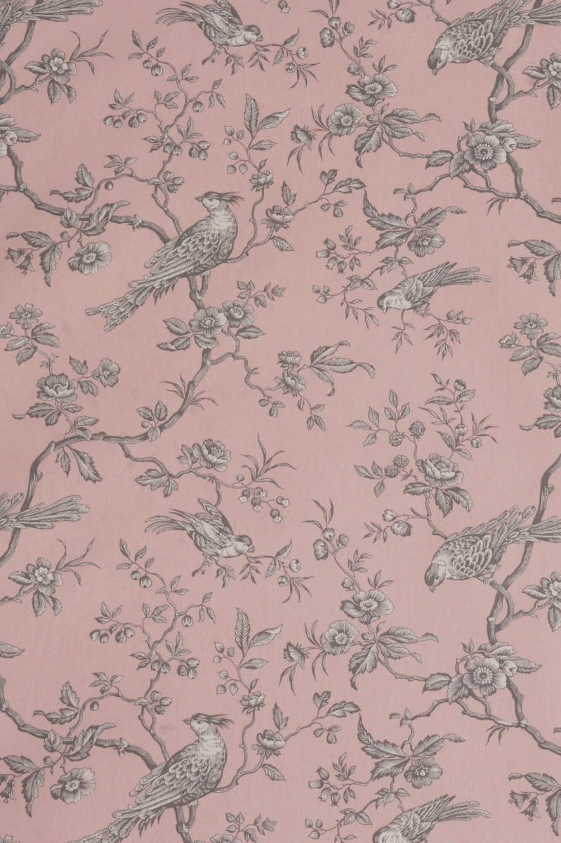 Isabelle Bird Toile Candy Cotton Double Width Fabric