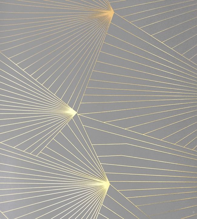 Fan Wallpaper - Gray