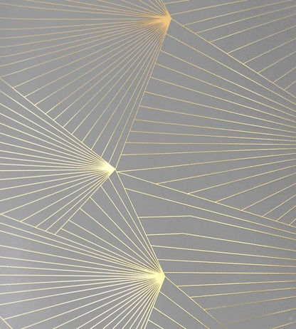 Fan Wallpaper - Gray