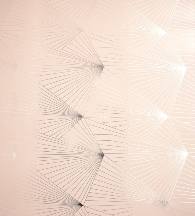 Fan Wallpaper - Pink