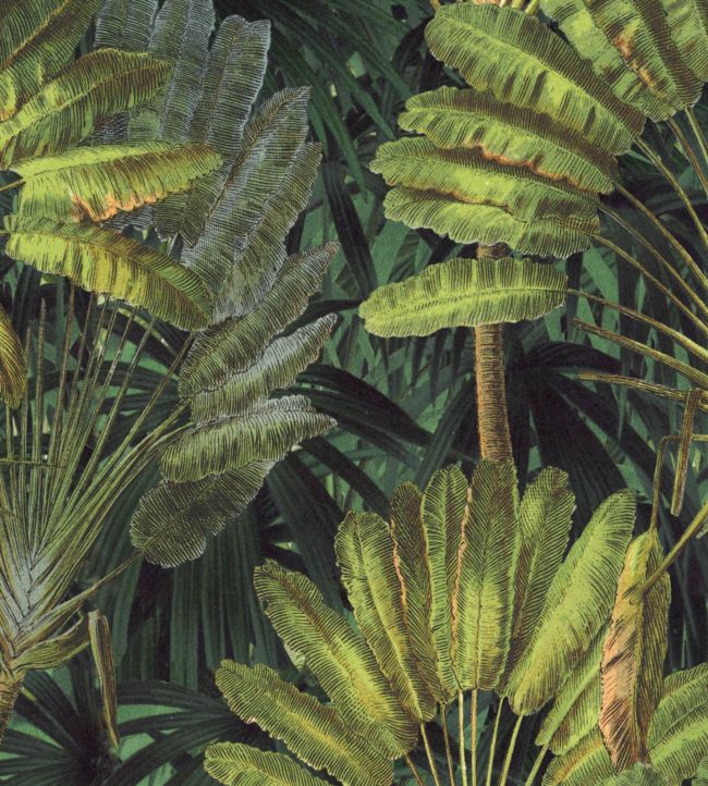 Traveller's Palm Fabric - Green