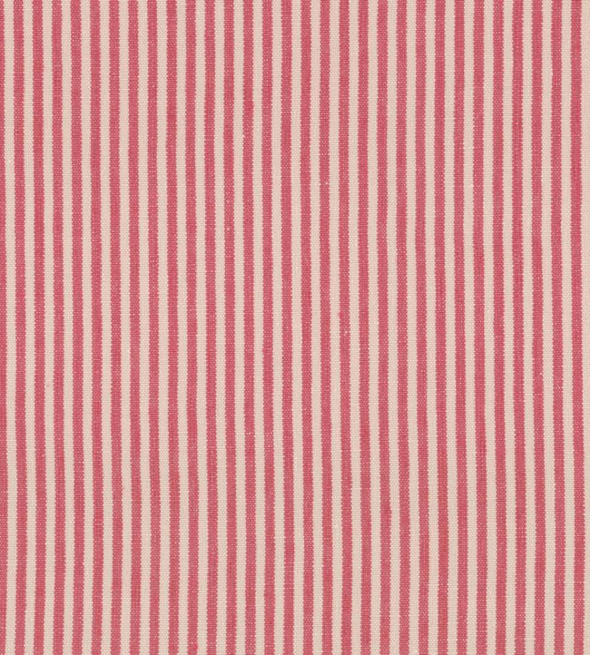 Rhubarb Stripe Fabric - Pink