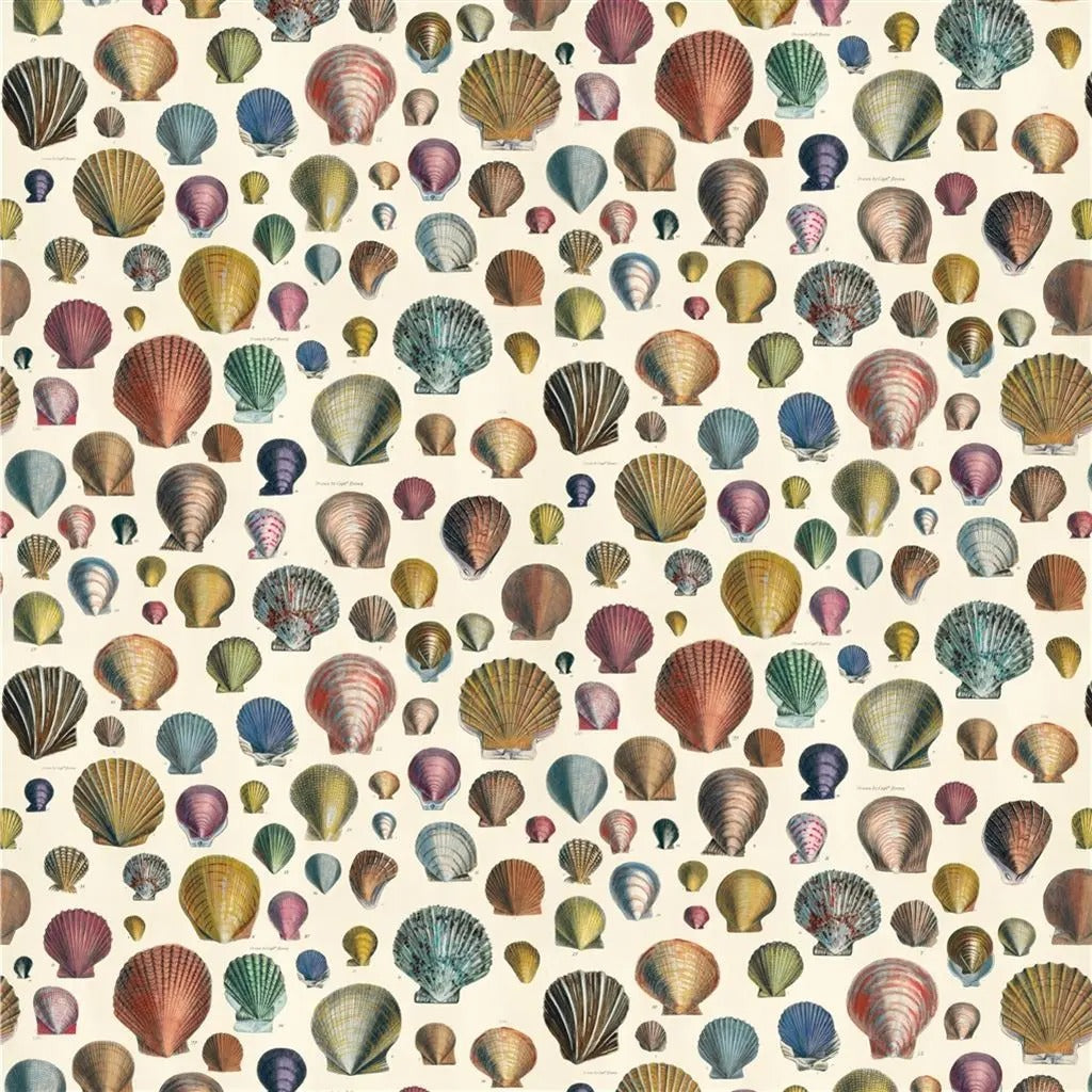 Captain Thomas Browns Shells Fabric - Sand 