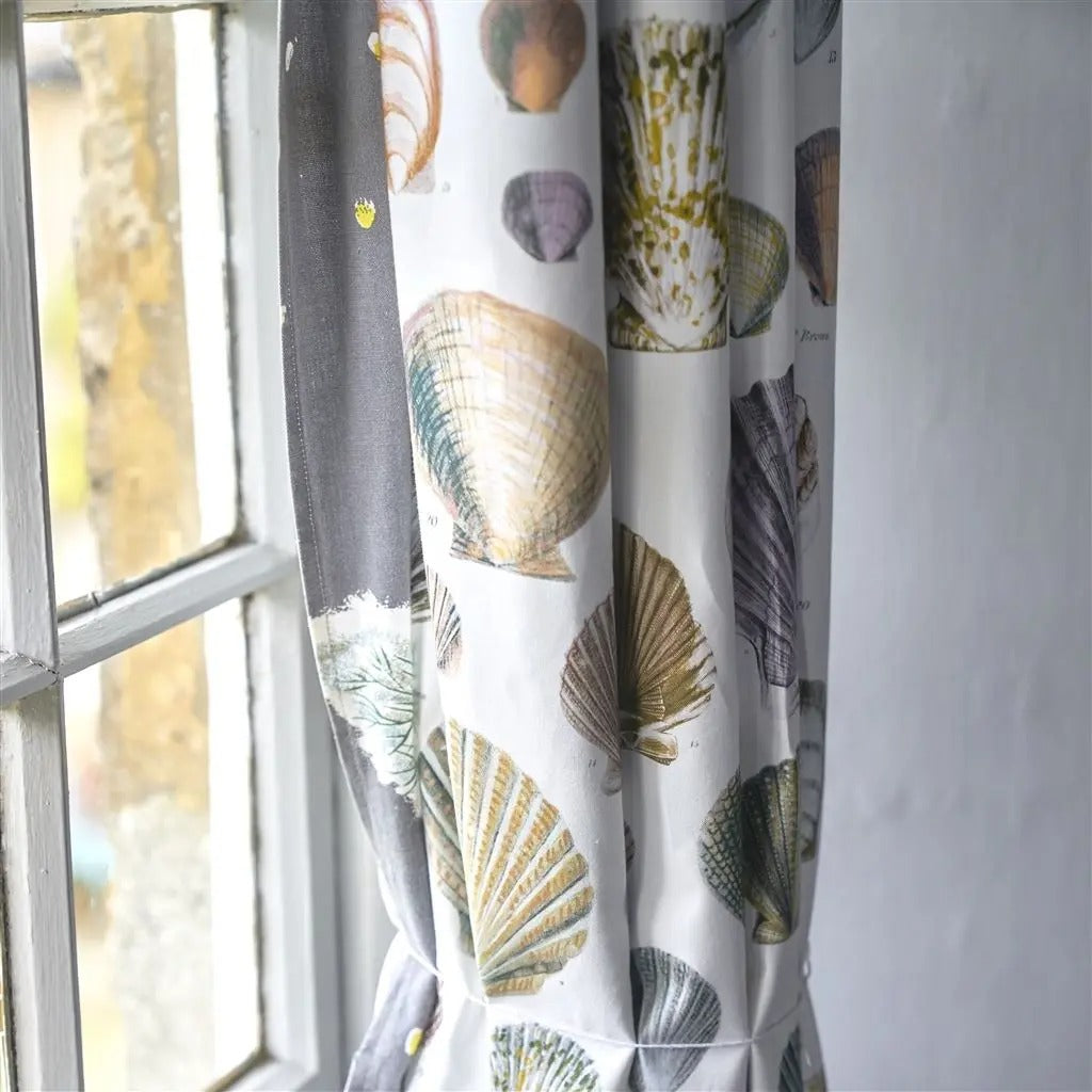 Captain Thomas Browns Shells Room Fabric - Gray