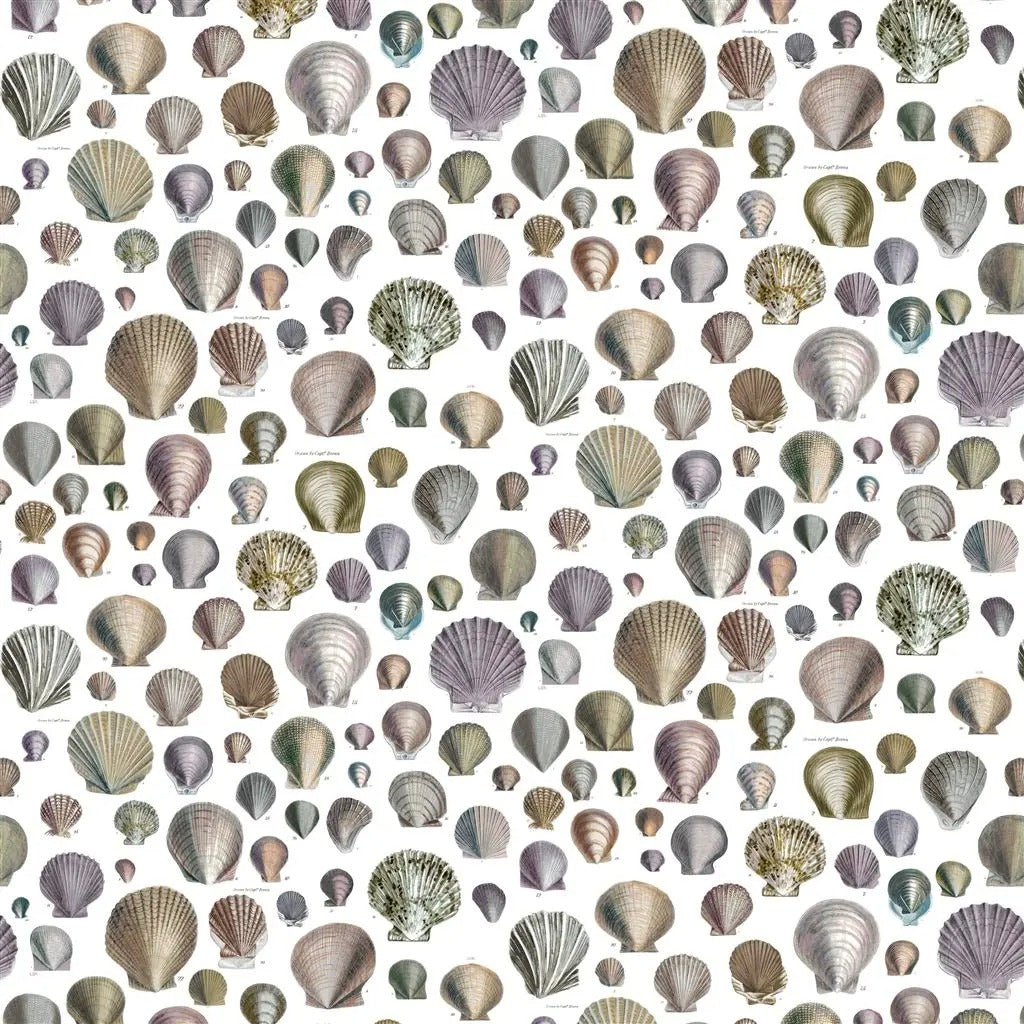 Captain Thomas Browns Shells Fabric - Gray