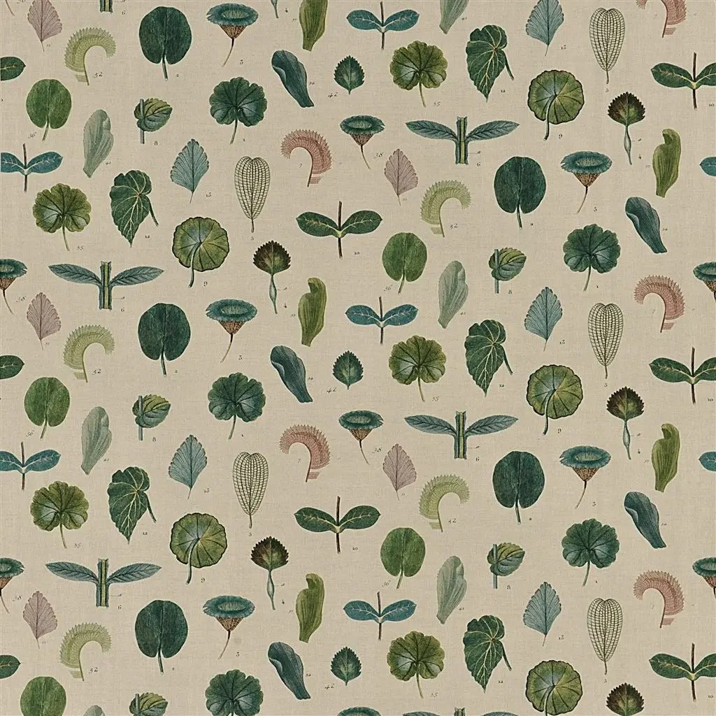 A Leaf Study Linen Fabric - Green