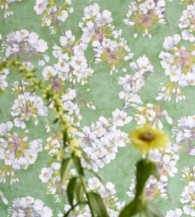 Fleur D'Assam Wallpaper - Emerald - PDG1148/02 - Designers Guild