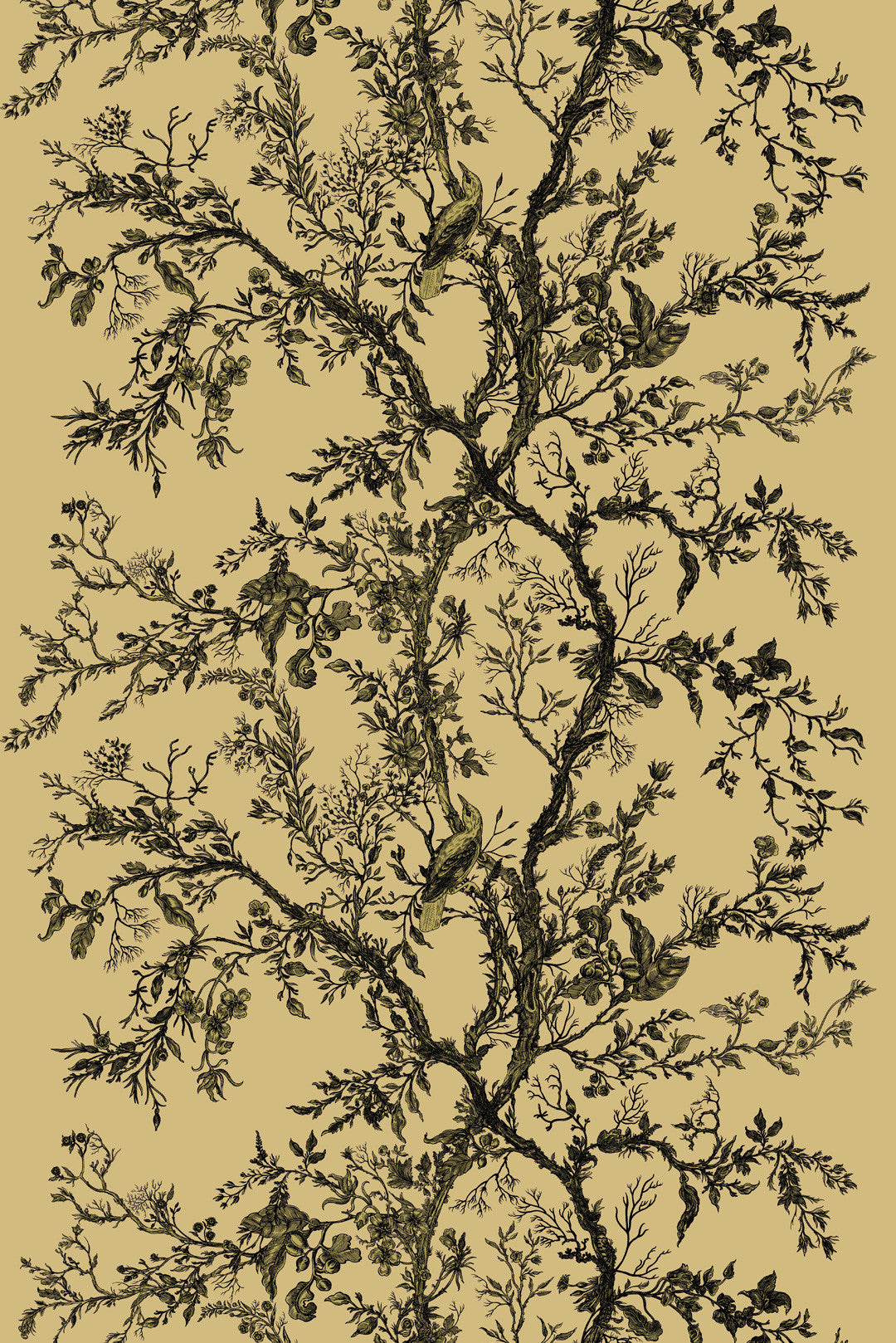 Golden Oriole Velvet Fabric - Green